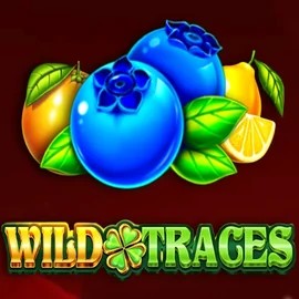 Wild Traces online game logo by Amusnet Interactive on wildsrobin.it